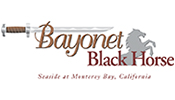 bayonet_blackhorse-175x100